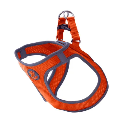 Peitoral Cães Athletic Fit Doco Laranja
