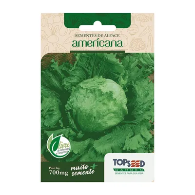 Sementes de Alface Americana Tradicional Topseed Garden