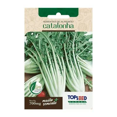 Sementes de Almeirão Catalonha Tradicional Topseed Garden