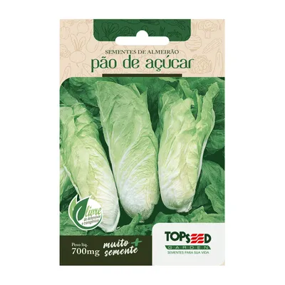 Sementes de Almeirão Pão de Açucar Tradicional Topseed Garden