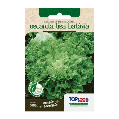 Sementes de Chicória Escarola Lisa Batávia Tradicional Topseed Garden