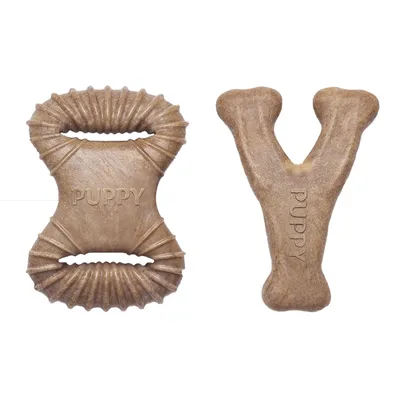 Kit Brinquedo Mordedor Benebone para Cães Filhotes Bacon