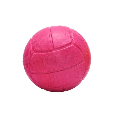 Bola Borracha Maciça Mini Tudo Pet Vermelha