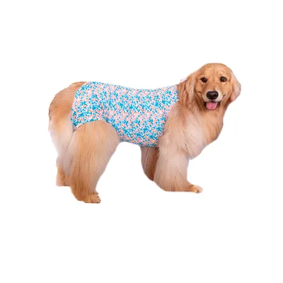 Roupa Pós-Cirúrgica Elastic Fêmea Zetta Pet