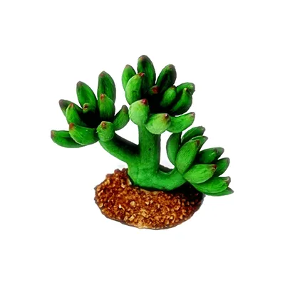 Enfeite de Silicone Soma Planta Cactus