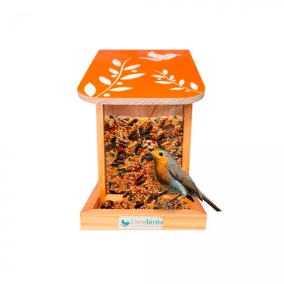 Comedouro Automático Collors Livre Birds Laranja