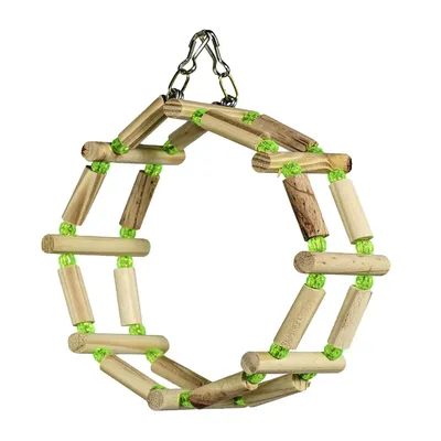 Brinquedo Roda Gigante Fixa Kakatoo