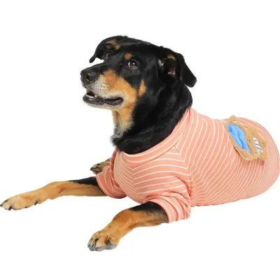 Casaco Toy para Cães e Gatos Emporium Distripet Rosa