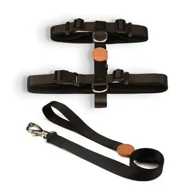 Conjunto Peitoral H com Guia Toh Preto