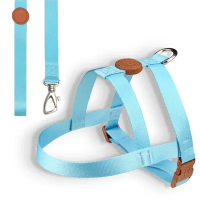 Conjunto Peitoral Tradicional com Guia Toh Azul