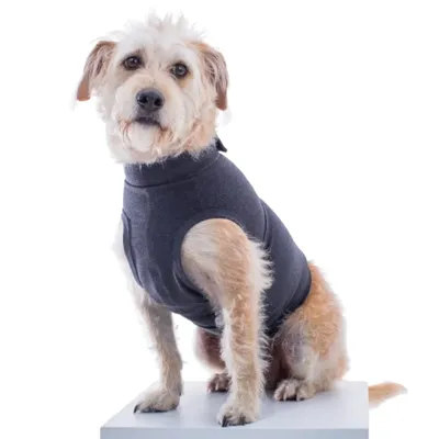 Colete Calm Pet para Cães Pet Med Chumbo