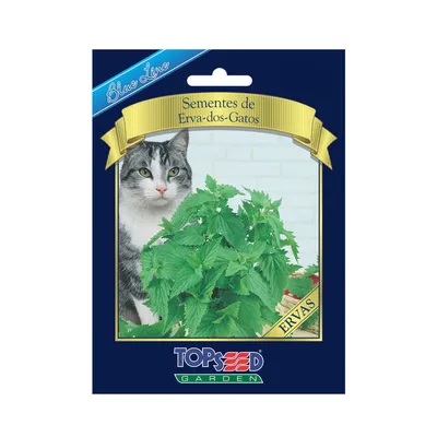 Sementes de Erva dos Gatos Blue Line Topseed Garden