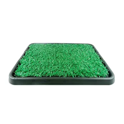 Banheiro Higiênico Pet Green Furacão Pet