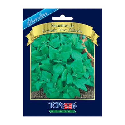 Sementes de Espinafre Nova Zelândia Blue Line Topseed Garden