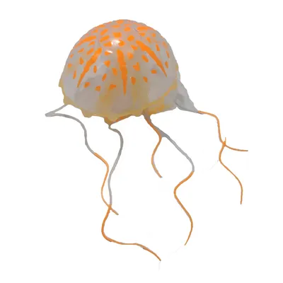 Maxxi Água Viva YS-1501LO Laranja