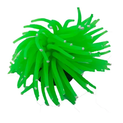 Enfeite para AquárioMaxxi Anêmona YS-1106G Verde