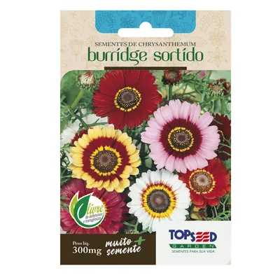 Sementes de Chryanthemum Burridge Sortido Tradicional Topseed Garden