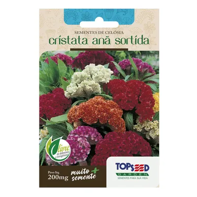 Sementes de Celósia Cristata Anã Sortida Tradicional Topseed Garden