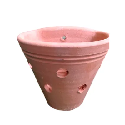 Vaso Parede Orquídea Vasos Tupã